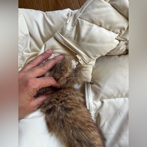 Giordano Goose down Long Puffer with Detachable hoodie and Fur trim- Medium - Picture 5 of 15